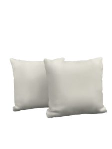Set of Two Square Throw Pillows