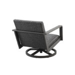 Canton Club Swivel Rocker Smoke Back